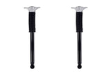 Tesla Model 3, Y Rear Shock Absorbers Struts, 2017-2023