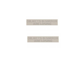 Outside Rear View Mirror Decal 4" "Objects in Mirror Are Losing" X2 for Rivian